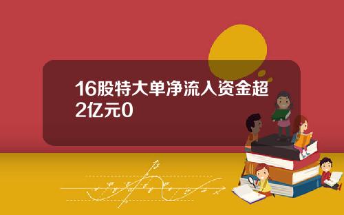 16股特大单净流入资金超2亿元0