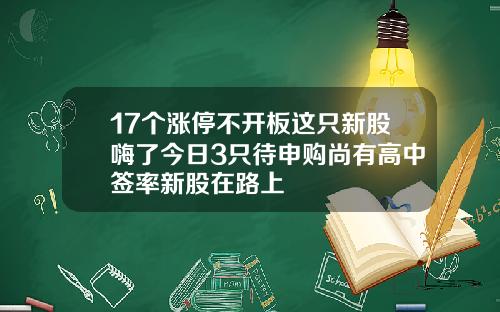 17个涨停不开板这只新股嗨了今日3只待申购尚有高中签率新股在路上
