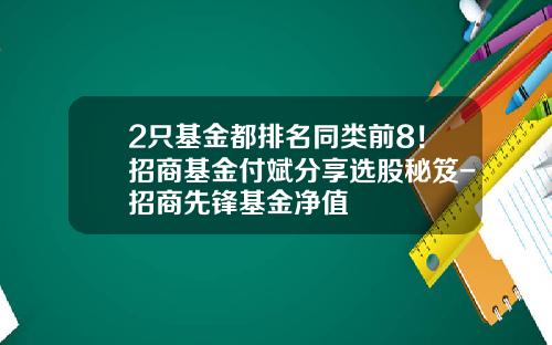2只基金都排名同类前8！招商基金付斌分享选股秘笈-招商先锋基金净值