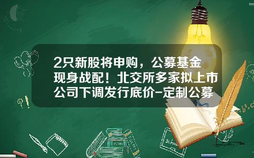 2只新股将申购，公募基金现身战配！北交所多家拟上市公司下调发行底价-定制公募基金