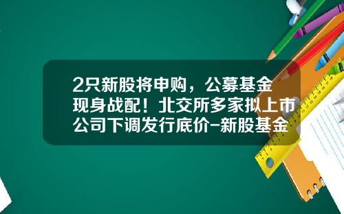 2只新股将申购，公募基金现身战配！北交所多家拟上市公司下调发行底价-新股基金