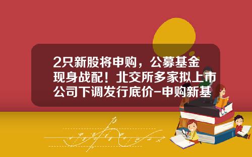 2只新股将申购，公募基金现身战配！北交所多家拟上市公司下调发行底价-申购新基金