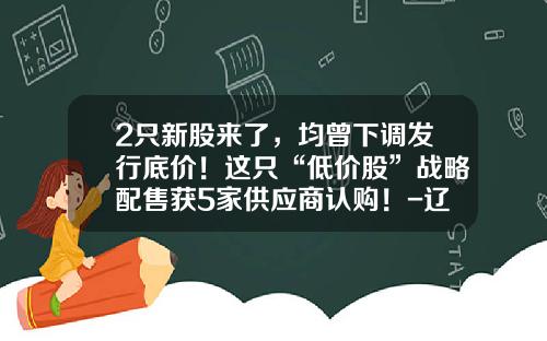 2只新股来了，均曾下调发行底价！这只“低价股”战略配售获5家供应商认购！-辽宁信泽联合基金