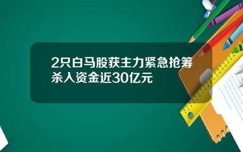 2只白马股获主力紧急抢筹杀入资金近30亿元