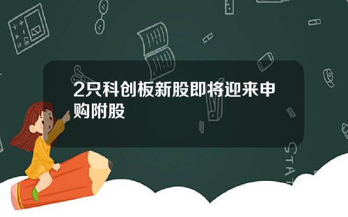2只科创板新股即将迎来申购附股