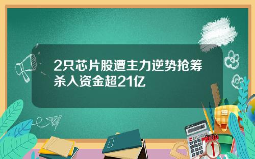 2只芯片股遭主力逆势抢筹杀入资金超21亿