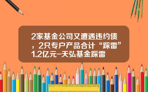 2家基金公司又遭遇违约债，2只专户产品合计“踩雷”1.2亿元-天弘基金踩雷