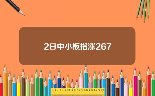 2日中小板指涨267