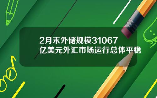 2月末外储规模31067亿美元外汇市场运行总体平稳