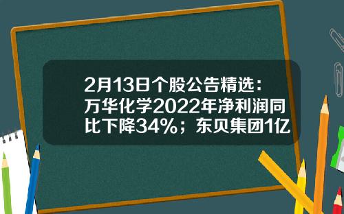 2月13日个股公告精选：万华化学2022年净利润同比下降34%；东贝集团1亿股限售股将于2月20日解禁-万华化学股票资讯