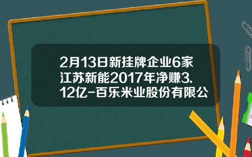 2月13日新挂牌企业6家江苏新能2017年净赚3.12亿-百乐米业股份有限公司