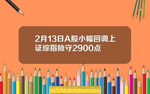 2月13日A股小幅回调上证综指险守2900点