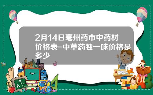2月14日亳州药市中药材价格表-中草药独一味价格是多少