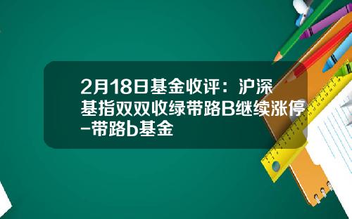 2月18日基金收评：沪深基指双双收绿带路B继续涨停-带路b基金