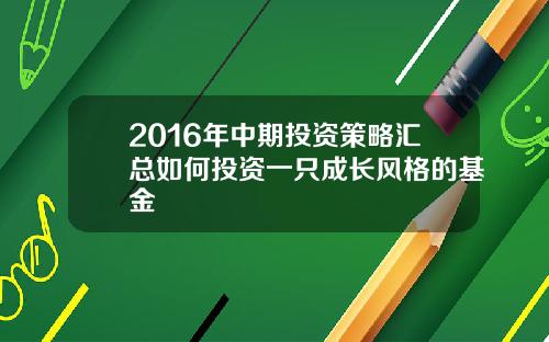 2016年中期投资策略汇总如何投资一只成长风格的基金