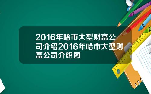 2016年哈市大型财富公司介绍2016年哈市大型财富公司介绍图