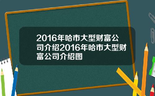 2016年哈市大型财富公司介绍2016年哈市大型财富公司介绍图