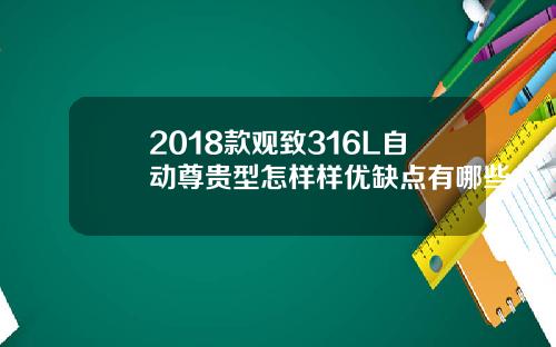 2018款观致316L自动尊贵型怎样样优缺点有哪些