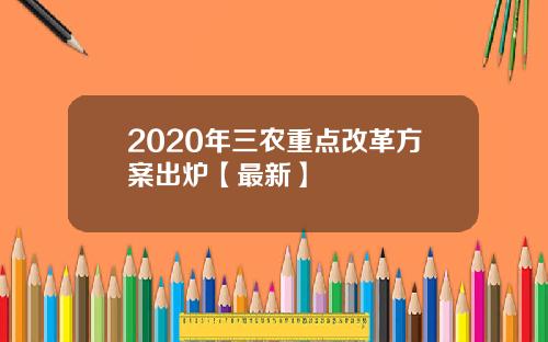 2020年三农重点改革方案出炉【最新】