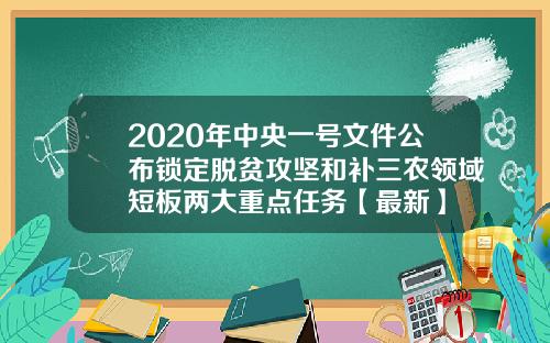 2020年中央一号文件公布锁定脱贫攻坚和补三农领域短板两大重点任务【最新】