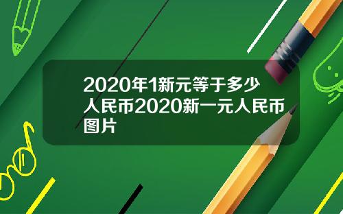 2020年1新元等于多少人民币2020新一元人民币图片