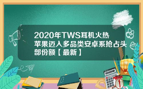 2020年TWS耳机火热苹果迈入多品类安卓系抢占头部份额【最新】