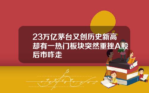 23万亿茅台又创历史新高却有一热门板块突然重挫A股后市咋走