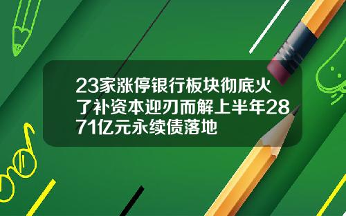 23家涨停银行板块彻底火了补资本迎刃而解上半年2871亿元永续债落地