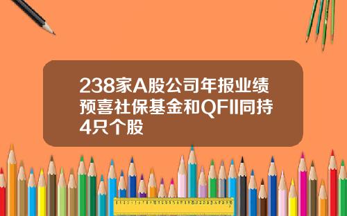 238家A股公司年报业绩预喜社保基金和QFII同持4只个股