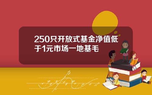 250只开放式基金净值低于1元市场一地基毛