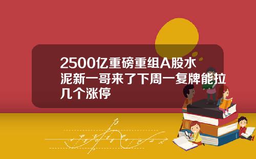 2500亿重磅重组A股水泥新一哥来了下周一复牌能拉几个涨停
