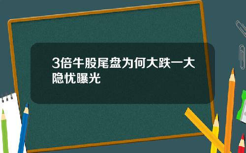 3倍牛股尾盘为何大跌一大隐忧曝光