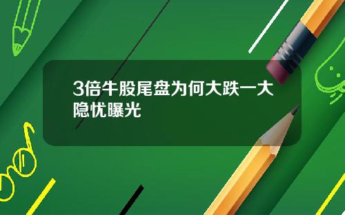 3倍牛股尾盘为何大跌一大隐忧曝光