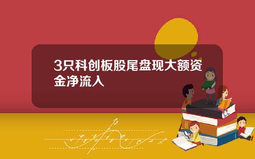 3只科创板股尾盘现大额资金净流入