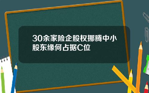30余家险企股权挪腾中小股东缘何占据C位