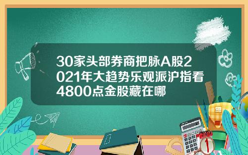 30家头部券商把脉A股2021年大趋势乐观派沪指看4800点金股藏在哪