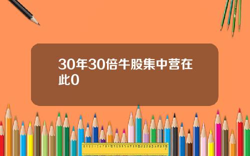 30年30倍牛股集中营在此0