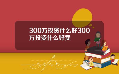 300万投资什么好300万投资什么好卖