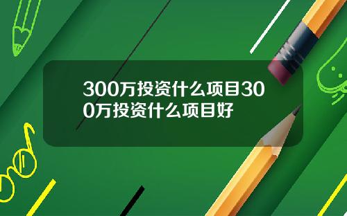 300万投资什么项目300万投资什么项目好