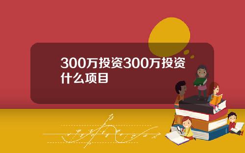 300万投资300万投资什么项目