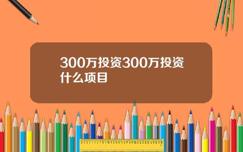 300万投资300万投资什么项目