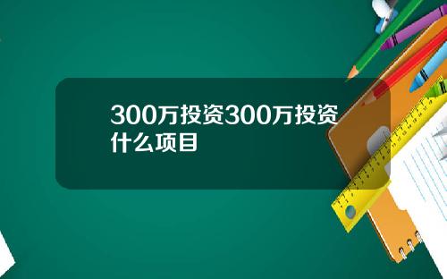 300万投资300万投资什么项目