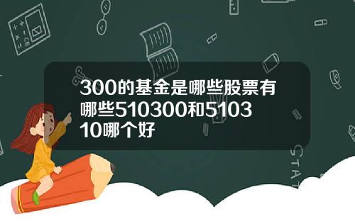 300的基金是哪些股票有哪些510300和510310哪个好