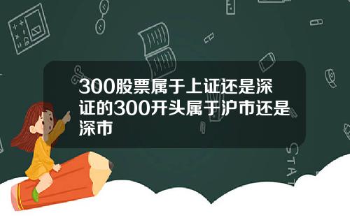 300股票属于上证还是深证的300开头属于沪市还是深市