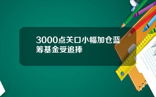 3000点关口小幅加仓蓝筹基金受追捧