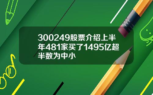 300249股票介绍上半年481家买了1495亿超半数为中小