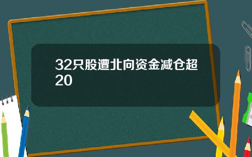 32只股遭北向资金减仓超20