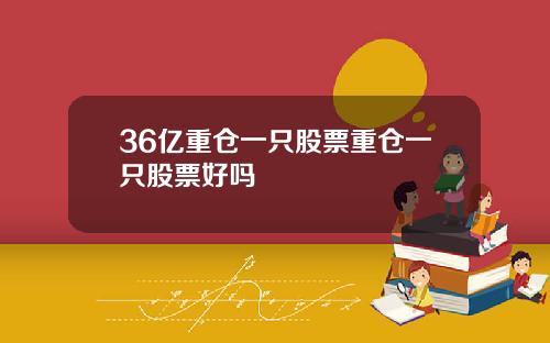 36亿重仓一只股票重仓一只股票好吗