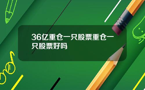 36亿重仓一只股票重仓一只股票好吗