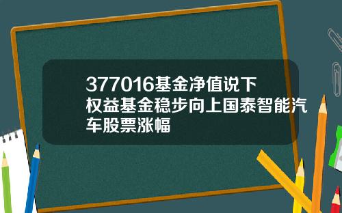 377016基金净值说下权益基金稳步向上国泰智能汽车股票涨幅